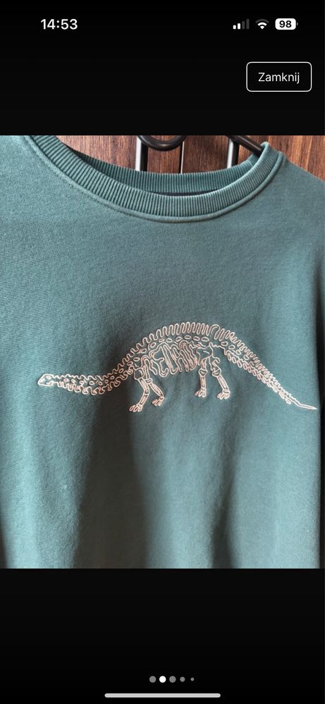Bluza z dinozaurem Relab
