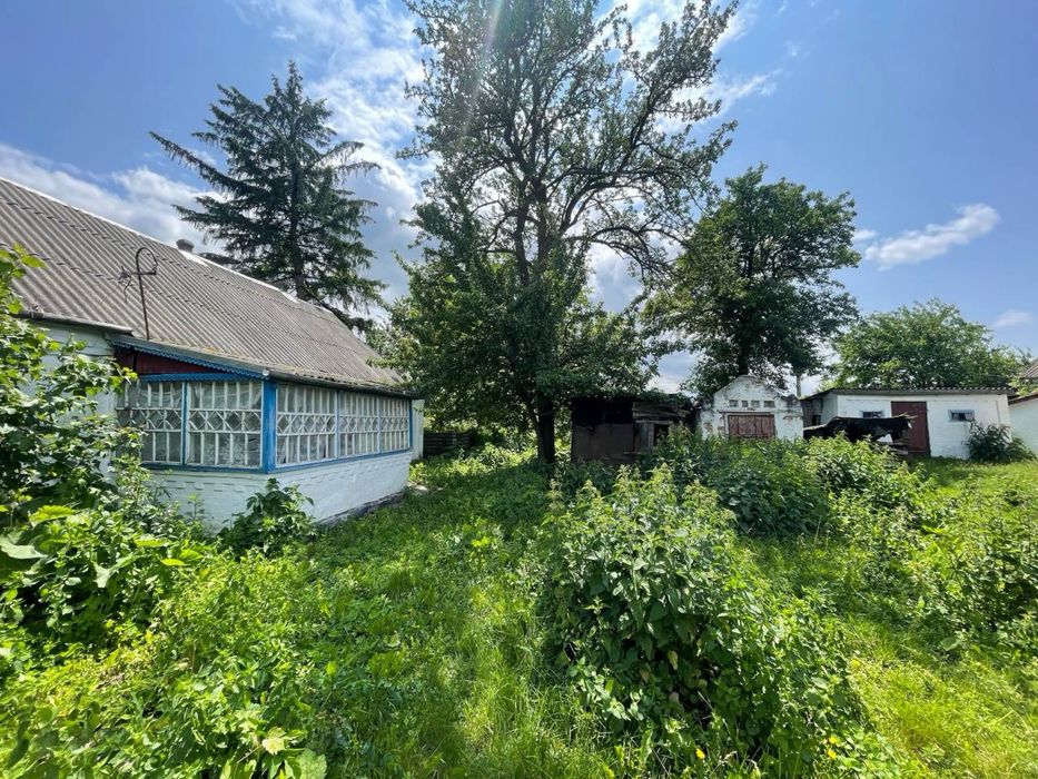 Будинок село Шапіївка