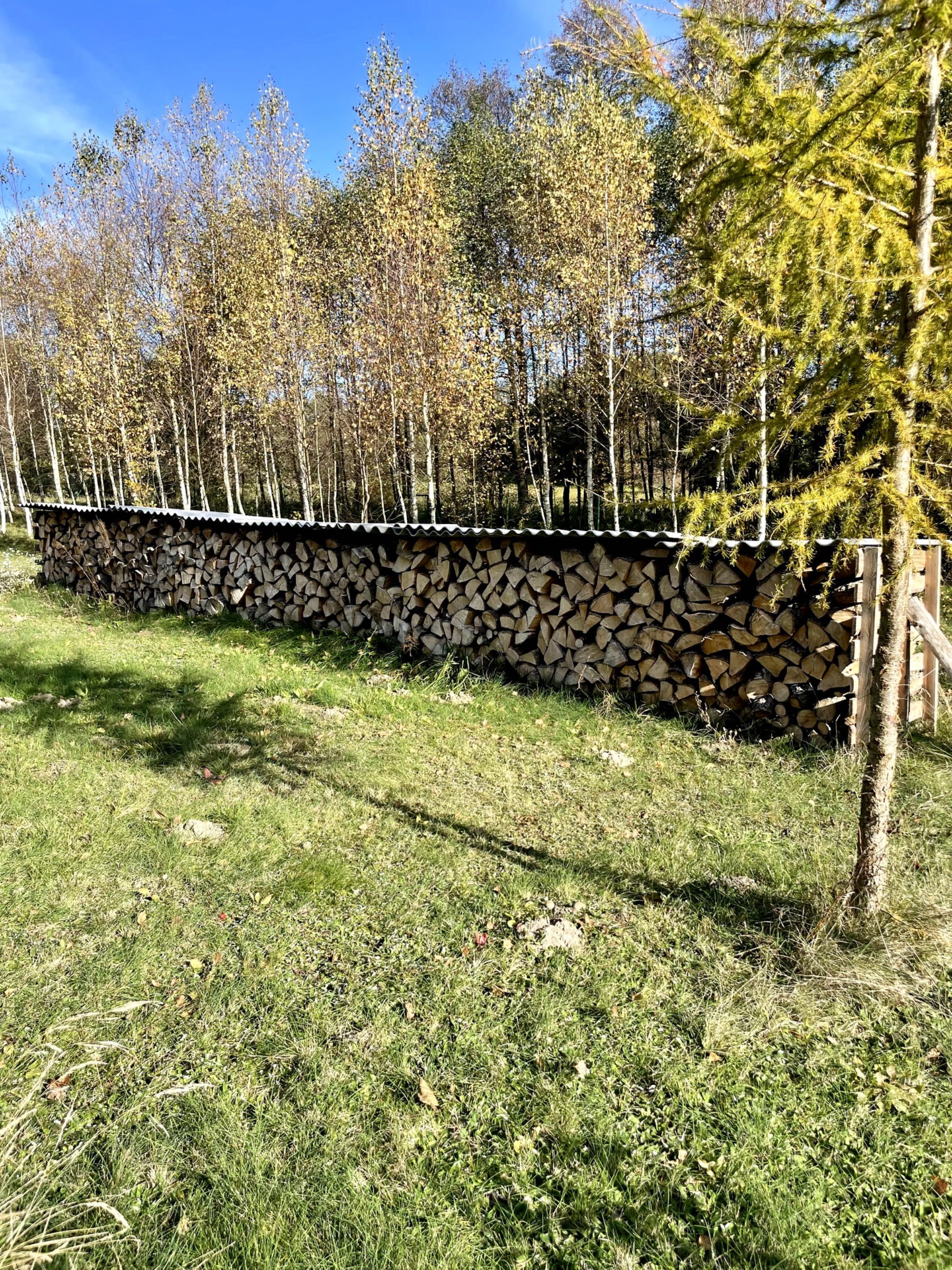 Sprzedam drewno olchowe – 10 m³