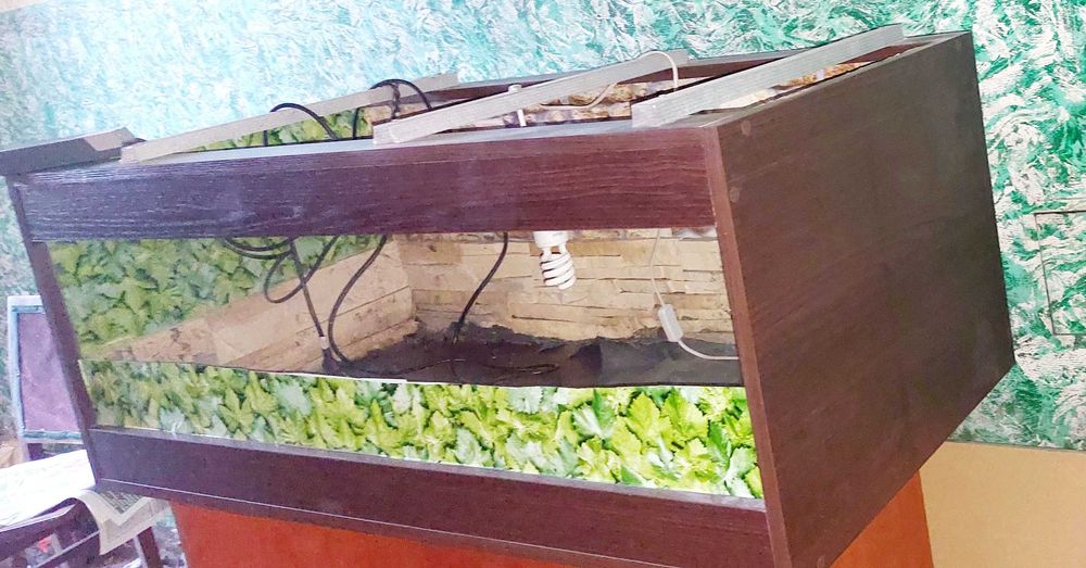 Terarium dla żółwia lądowego