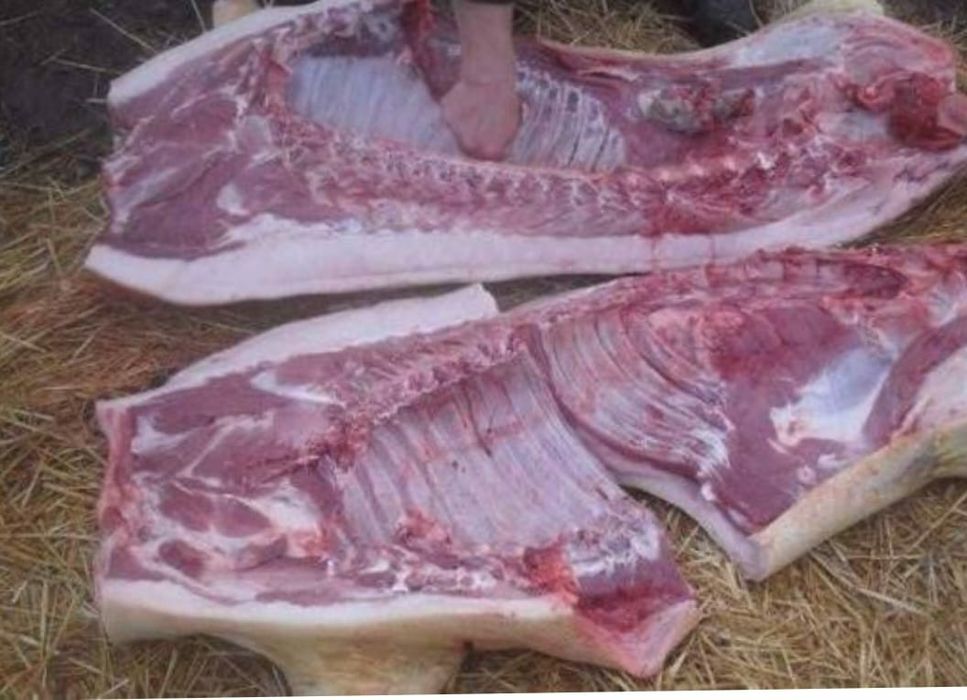 Продам мясо (свинина домашняя тушками)