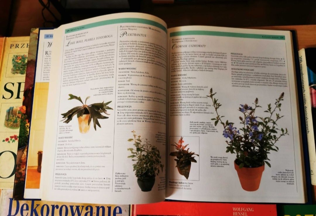Ogromny zestaw książek o ogrodnictwie, roślinach doniczkowych