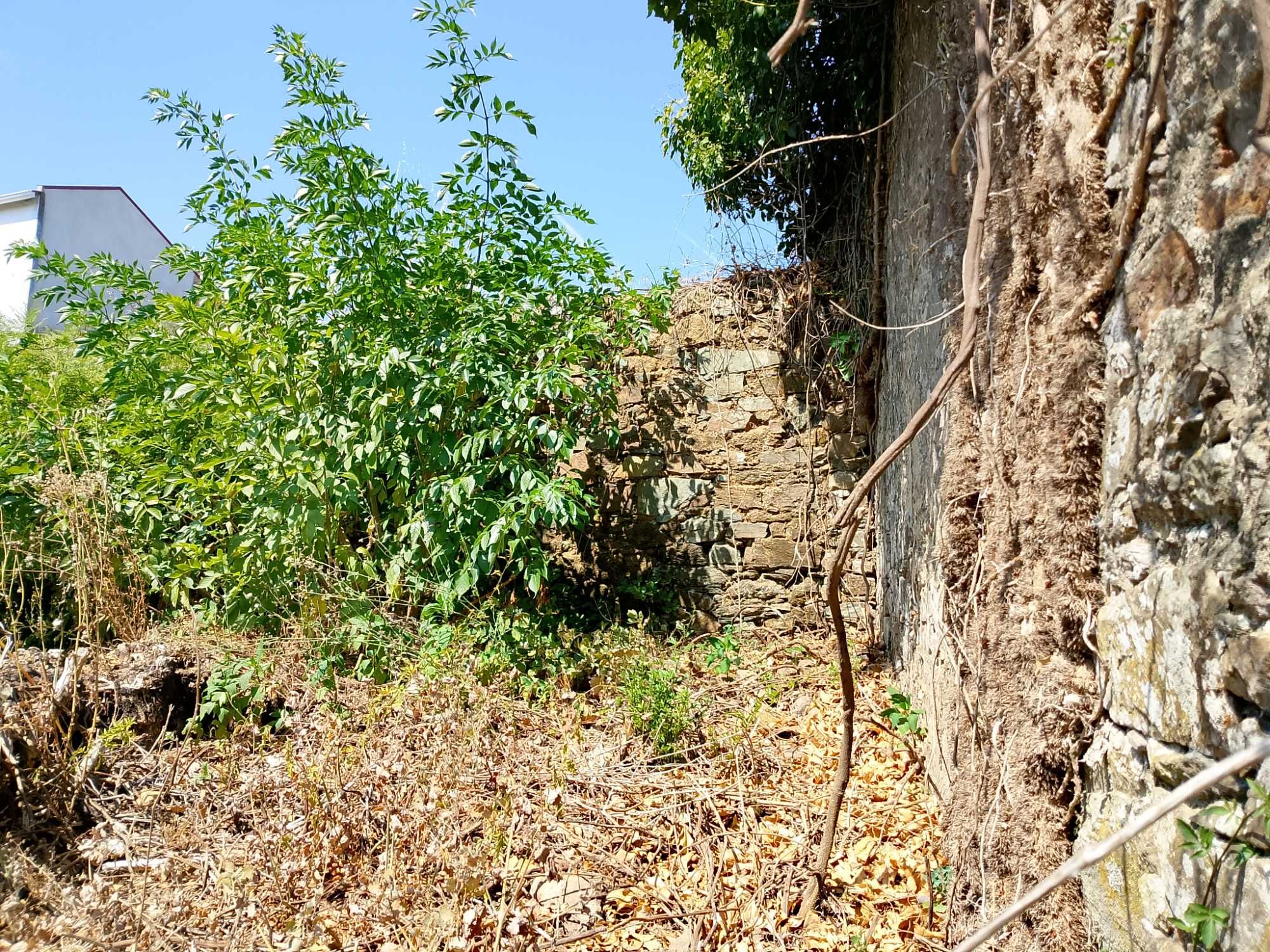 Ruína em Castanheira de Pêra