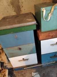 Вулики, рамки для бджіл