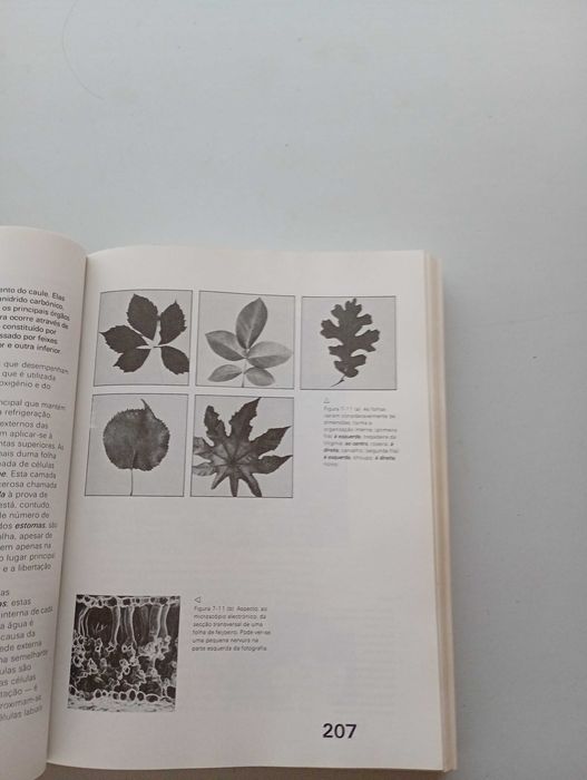 Introdução à Biologia