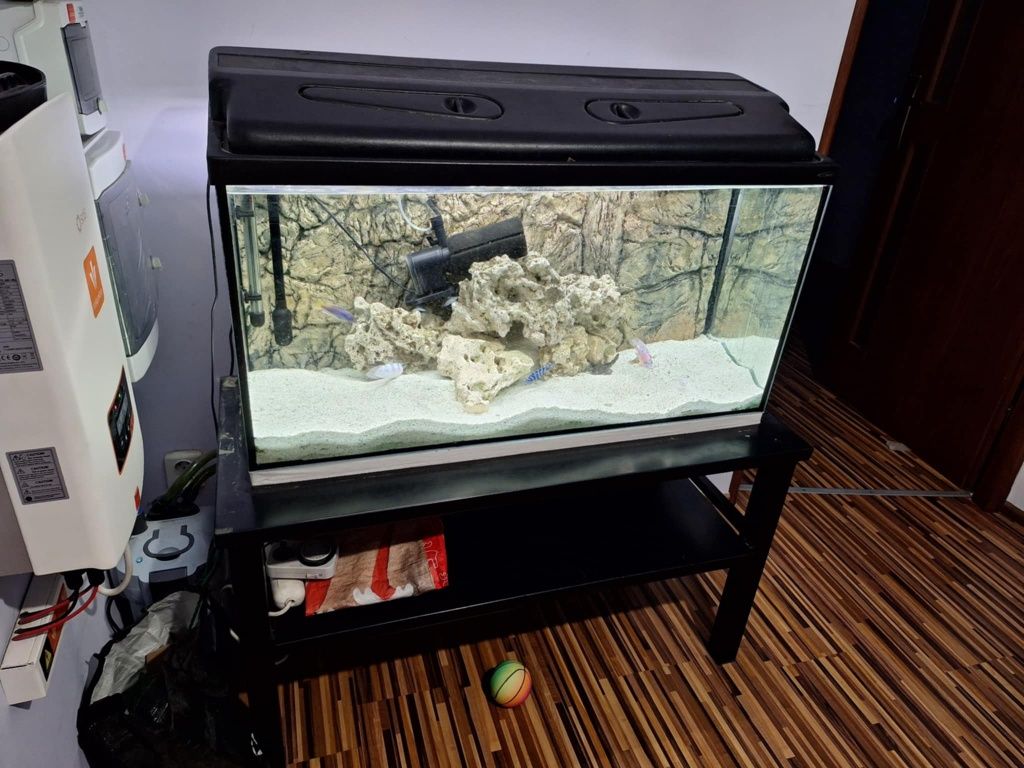 Akwarium 200 l wraz z wyposażeniem