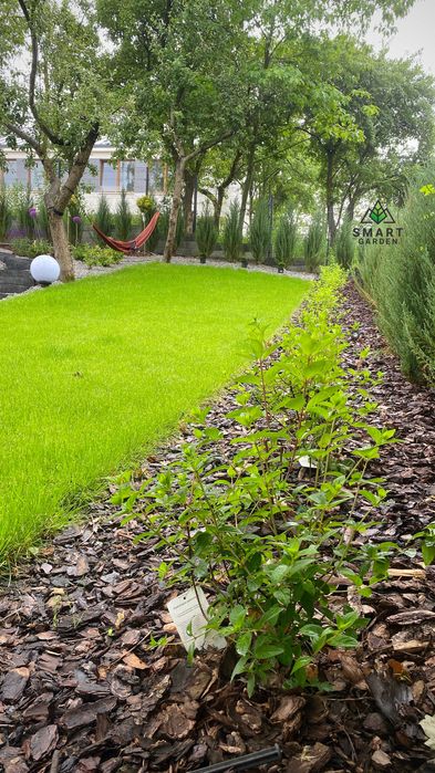 Profesjonalne Zakładanie Trawnika - Drenaż - Nawadnianie -SMART GARDEN