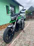 Senke leopard 250
