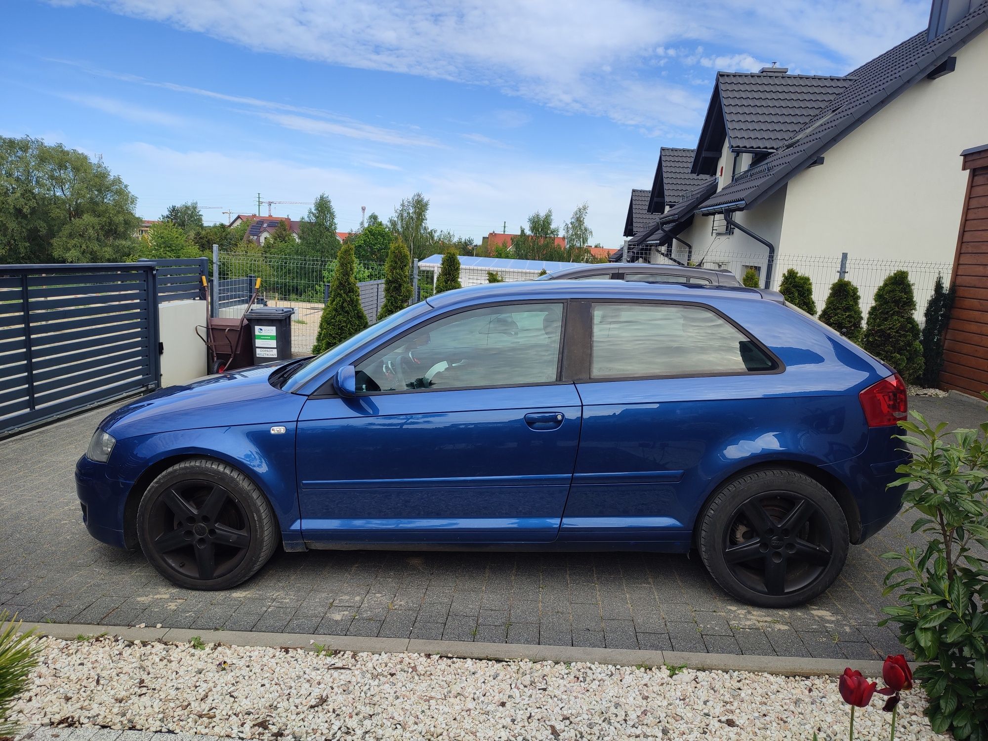 Audi A3 8P 1.9 TDi 105 KM