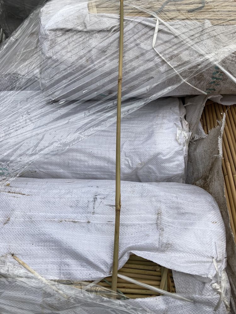 Tyczki bambusowe nowe 60 cm