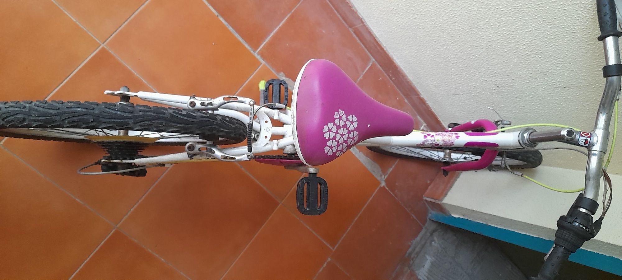 Bicicleta de criança