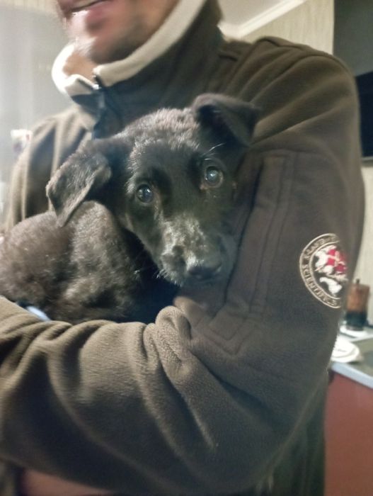 Терміново віддамо