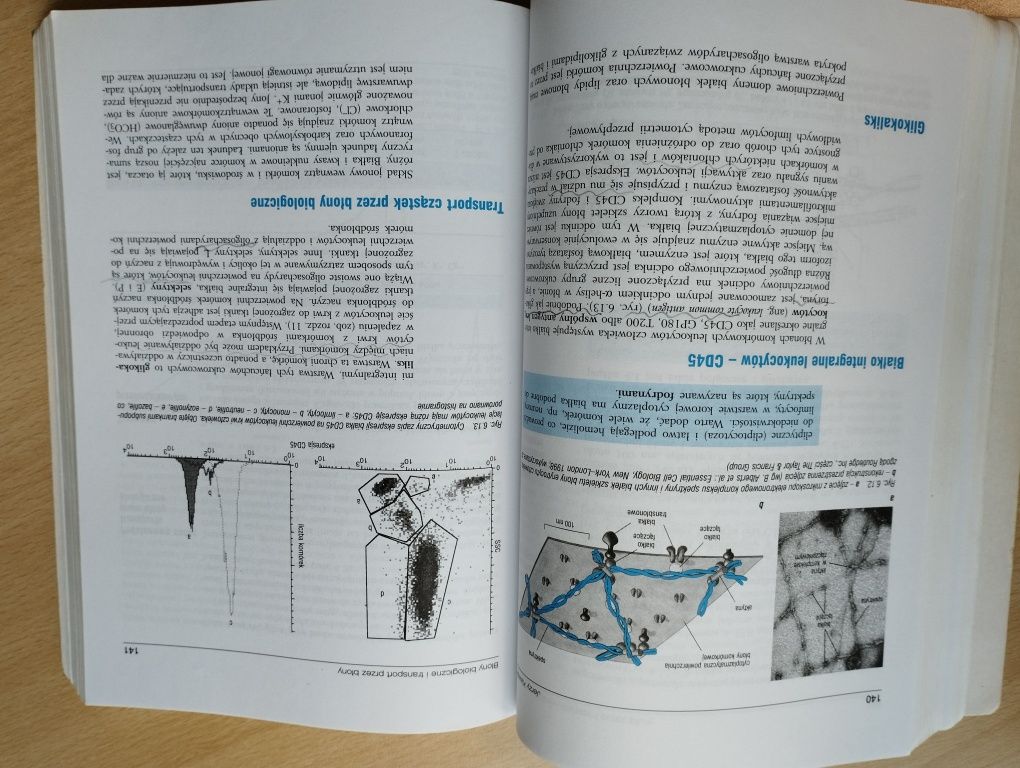 Seminaria z cytofizjologia J. Kawiak