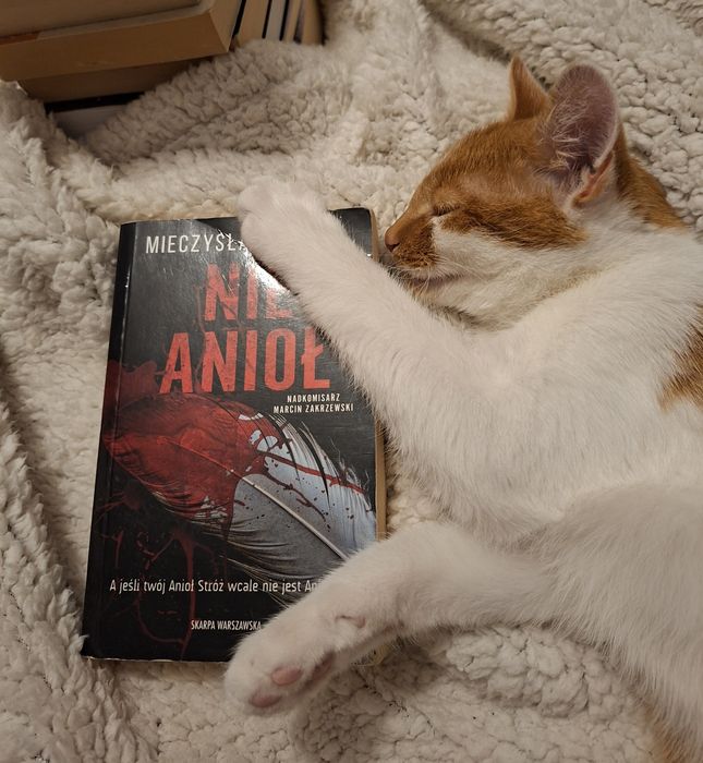 Nie anioł. Mieczysław Gorzka.