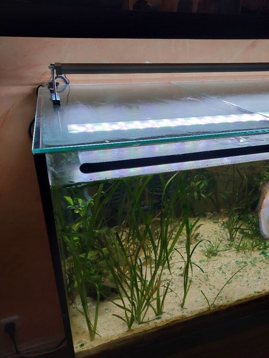 Aquario 120x50x50cm completo para venda