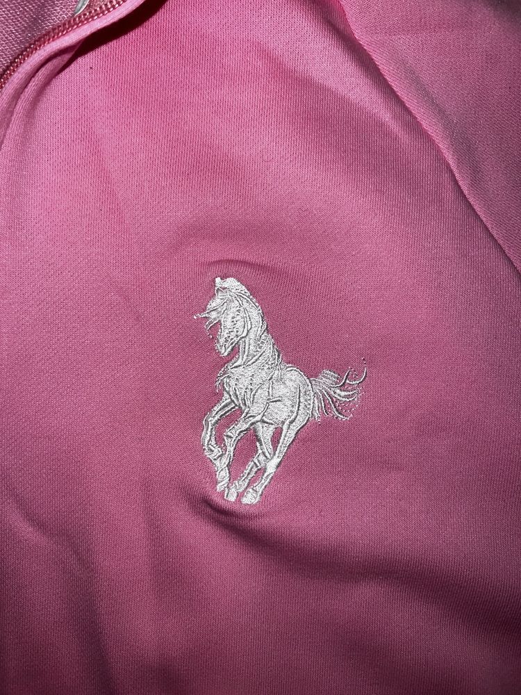 Зип худи Balenciaga Pink