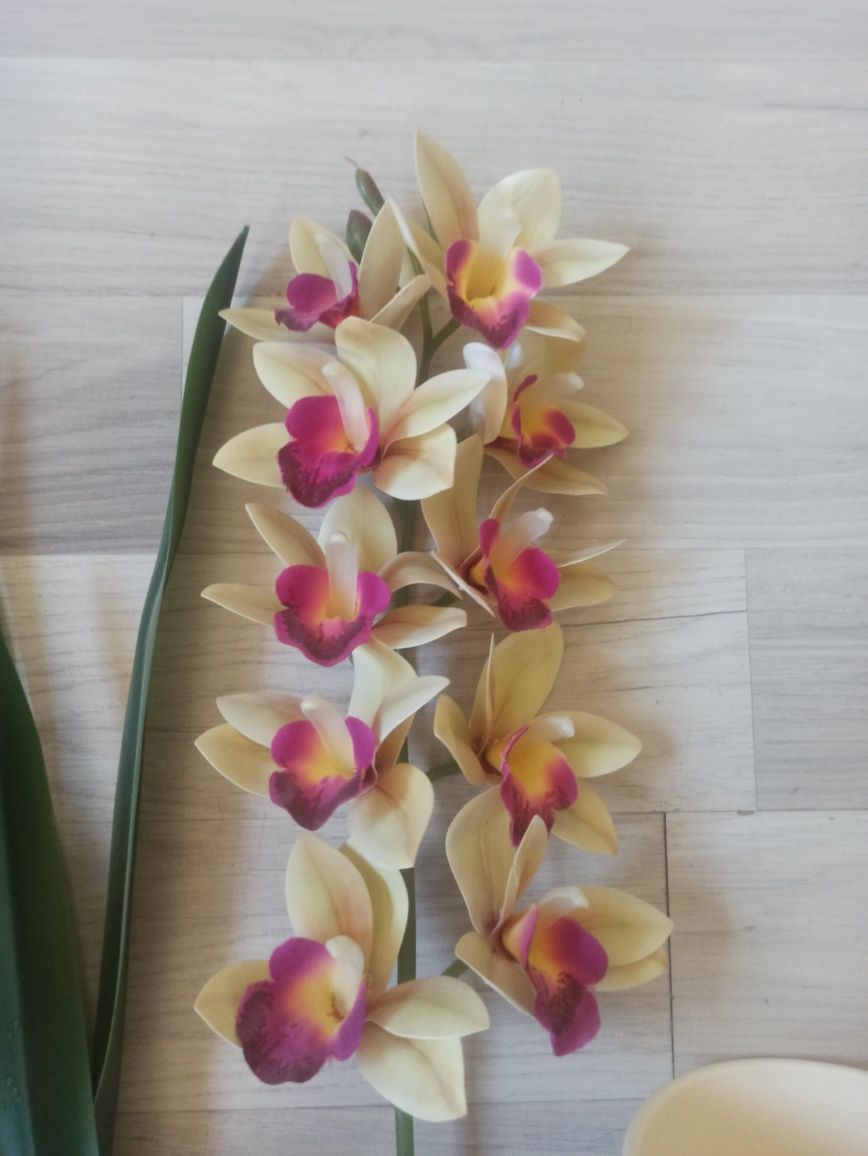 Storczyk Cymbidium sztuczny