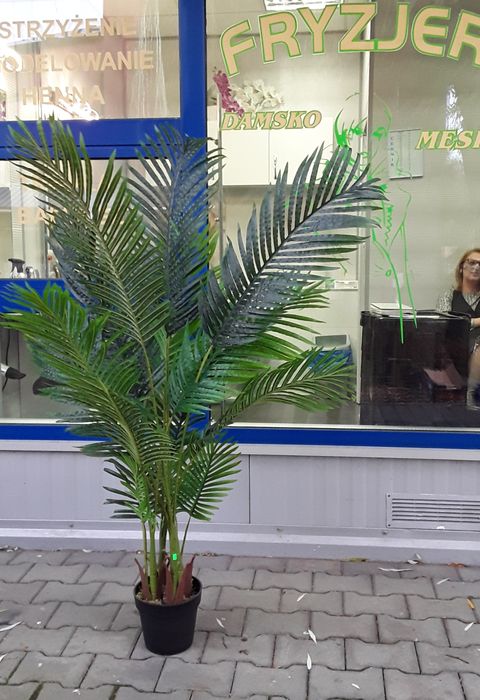 Sztuczna palma w doniczce
Cena 370 zł za sztukę. 

Palma ma