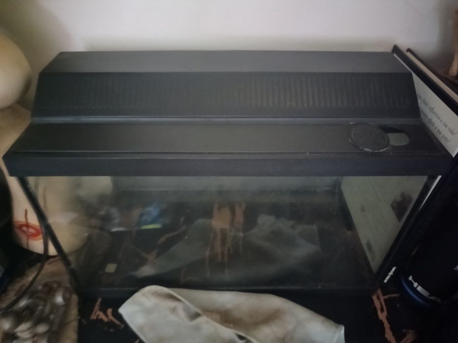 Aquário 40 centímetros com luz