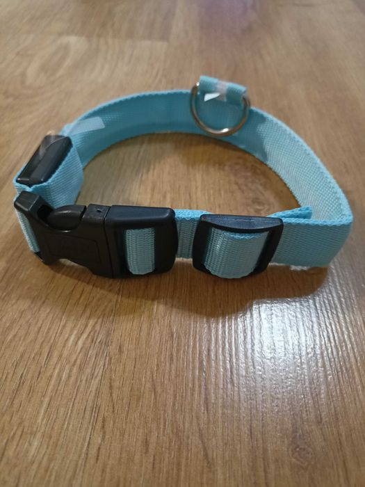 Obroża dla psa kota s m l