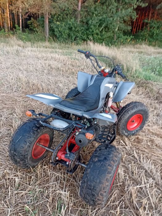 Sprzedam Bashan 200