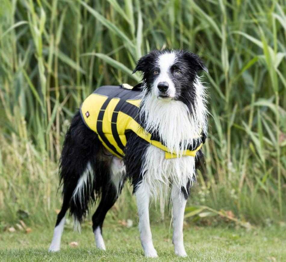 NOVO - TRIXIE Life Jacket, Colete Aquático cão, colete salva vidas