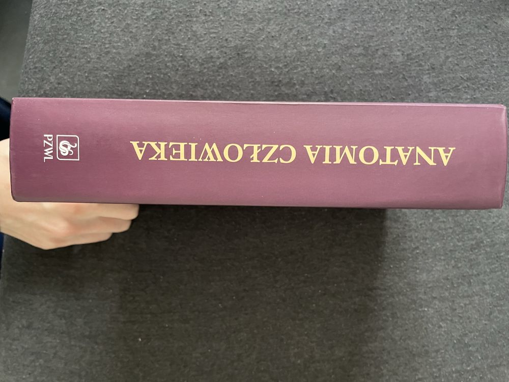 Anatomia Czlowieka Janina Sokołowska-Pituchowa Wydanie VIII