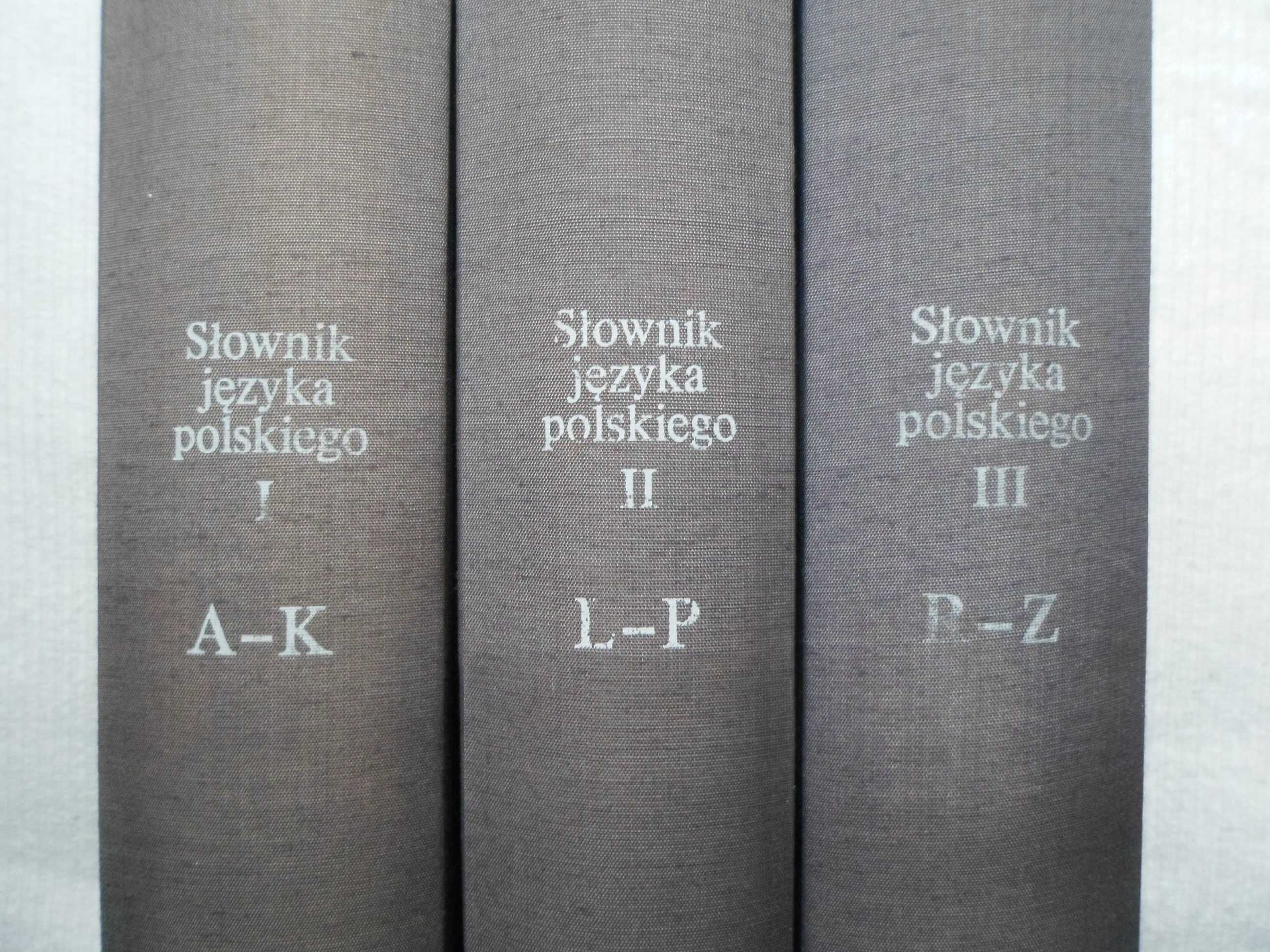 Słownik języka polskiego Tom I-III, komplet