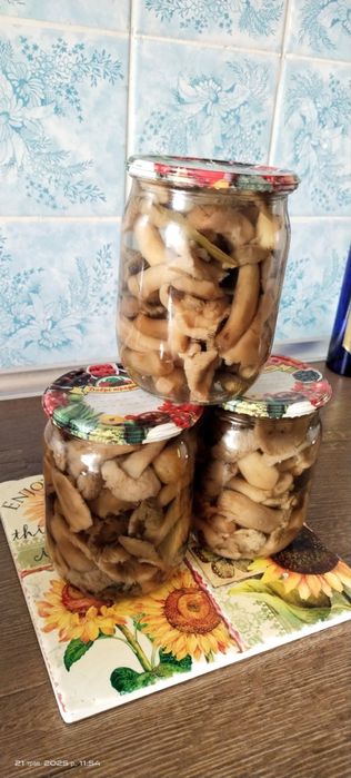 Гриби мариновані сіра та зелена рядовка