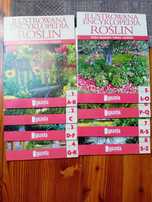 Encyklopedia roślin
