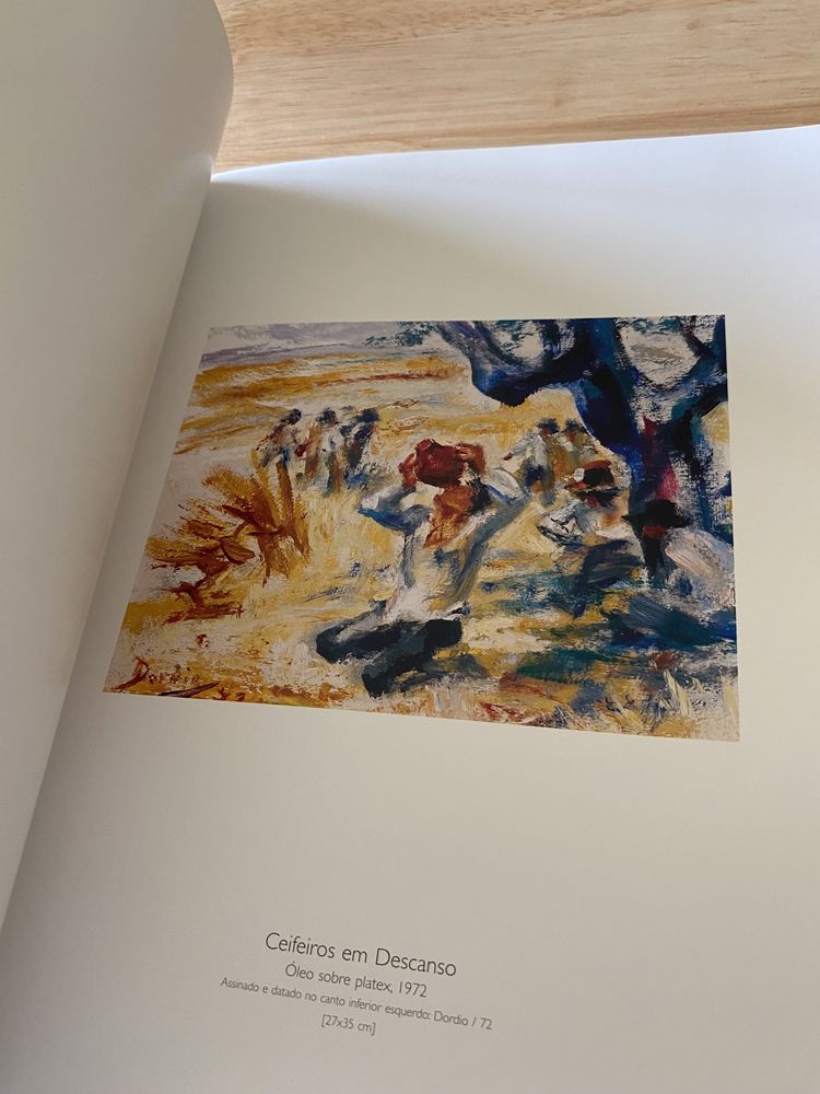 Catálogo/Livro DODIO GOMES na coleção da Arte Millennium bcp 2007