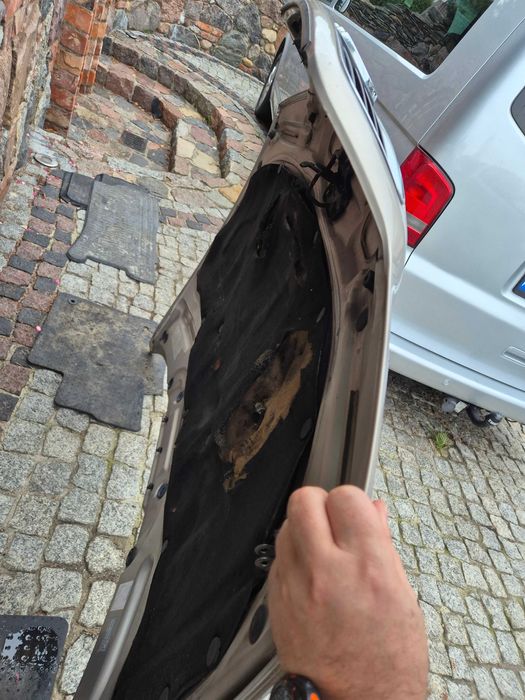 audi a4 b5 lift maska pokrywa silnika oryginał LY1T igła