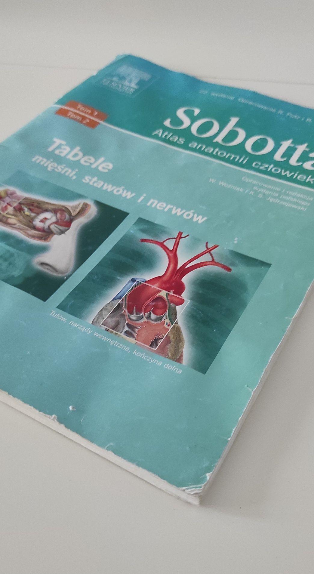 Sobotta Atlas anatomii człowieka tabele mięśni