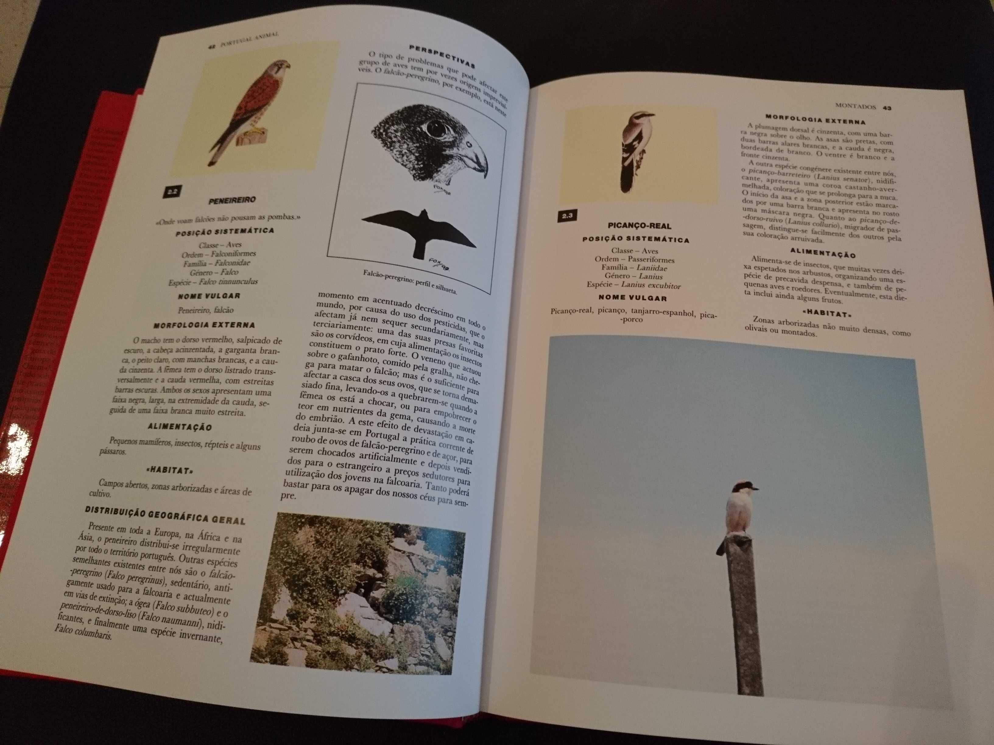 "Portugal Animal", Clara P. Correia/ "Animais em Perigo"