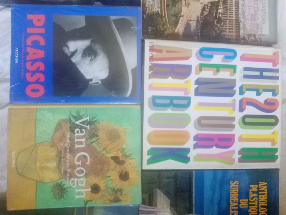 7 livros de arte