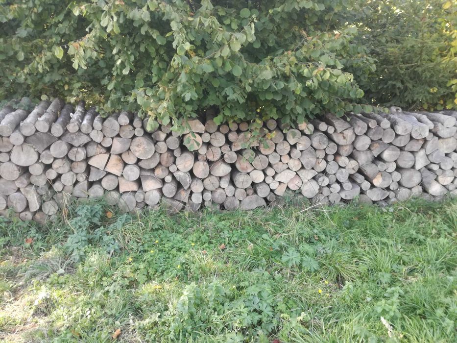 Sprzedam drzewo , metry jesionowe , całkiem suche