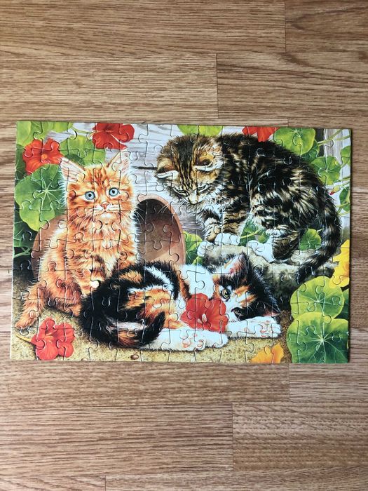 puzzle koty 100szt.