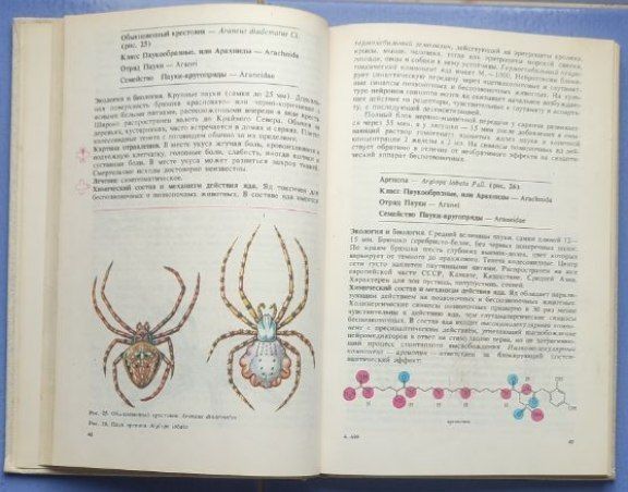 Книга Ядовитые животные и растения СССР, Б.Н. Орлов