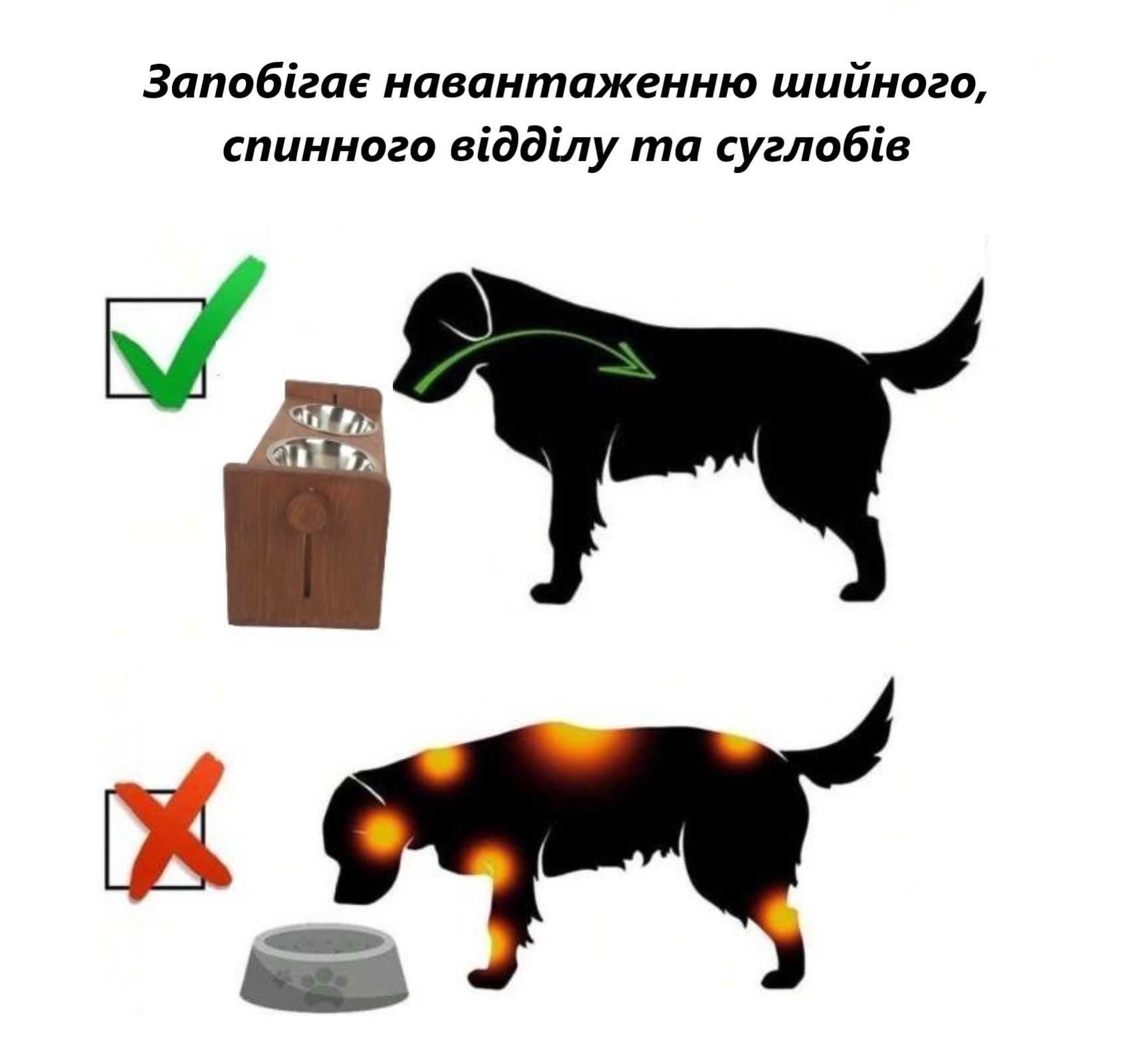 Миски для собак на регульованій підставці. Стильні кормушки.