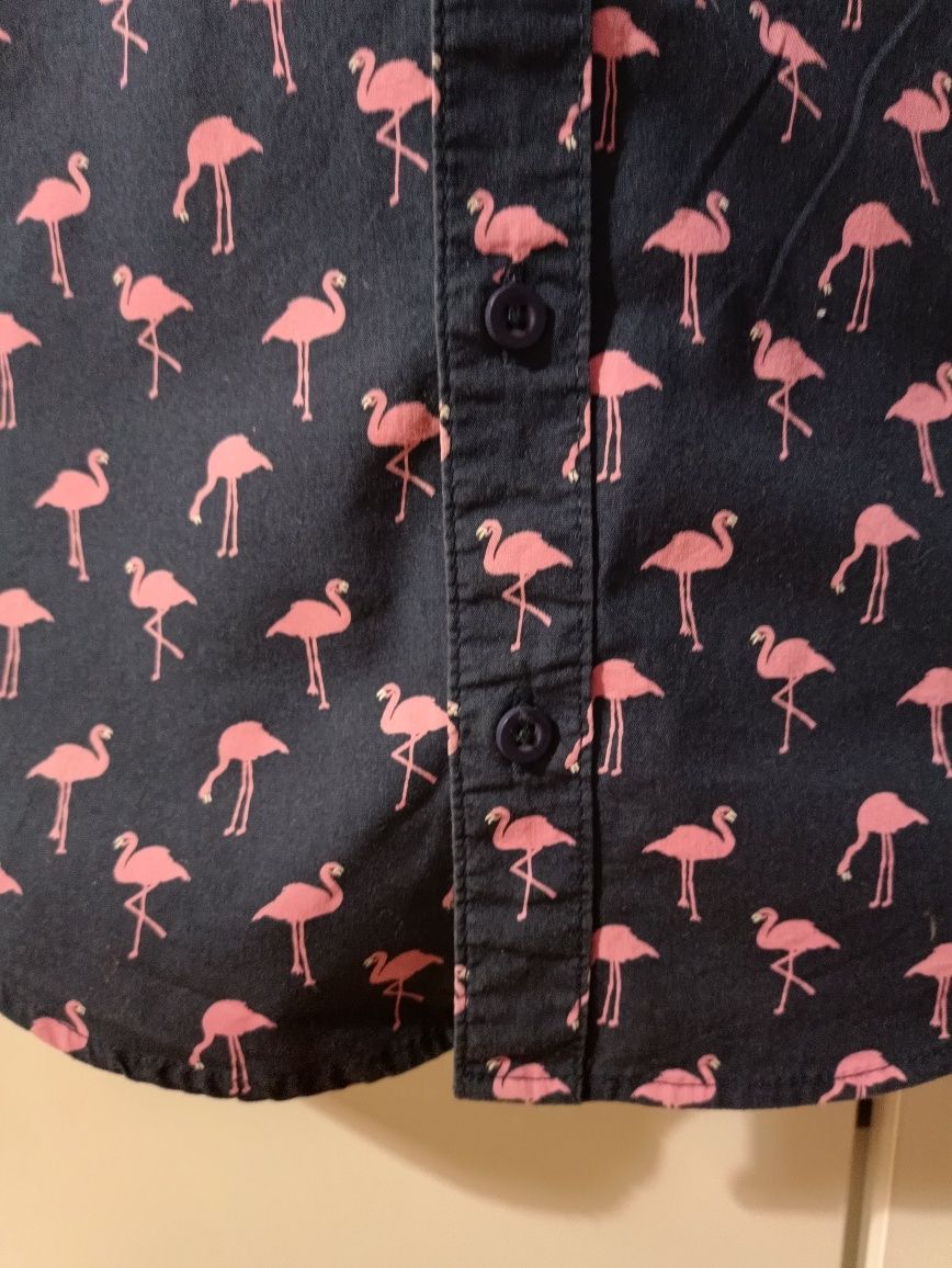 Koszula wizytowa 116 flamingi Primark