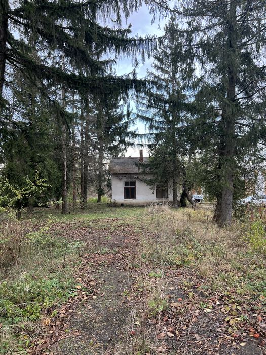 Свиноферма ( цілісний майновий комплекс ) 2700 кв м