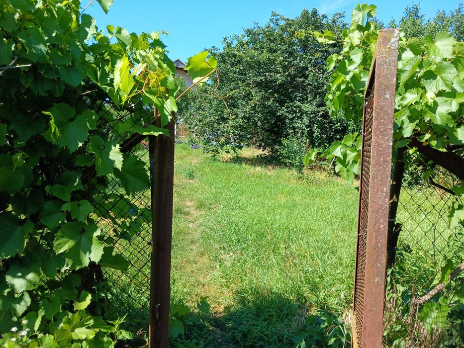 Будинок на дві сім'ї в с. Кідьош 6 км від центра м. Берегове