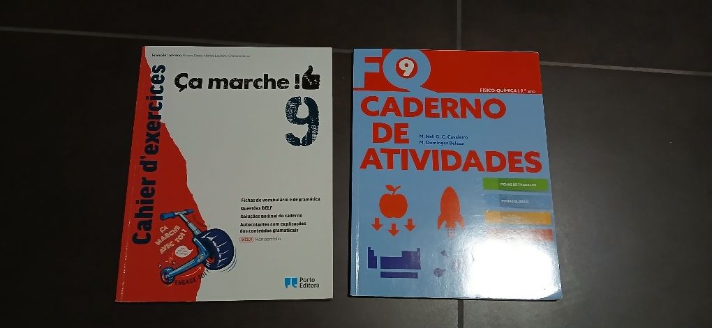 Manuais e Livros de fichas do 9°Ano