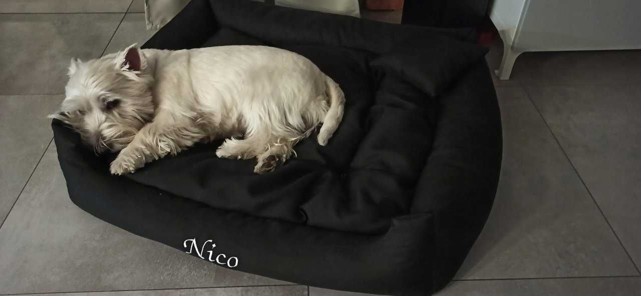 Super komfortowe legowisko dla psa znakomite posłanie DUŻY WYBÓR!