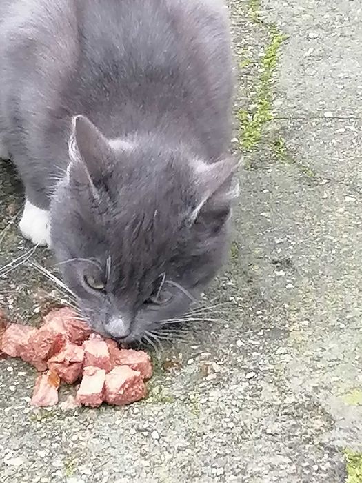 Daj im dom przed zimą