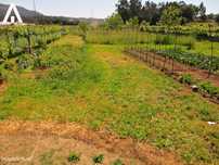 Terreno construção em V.F.S. Pedro