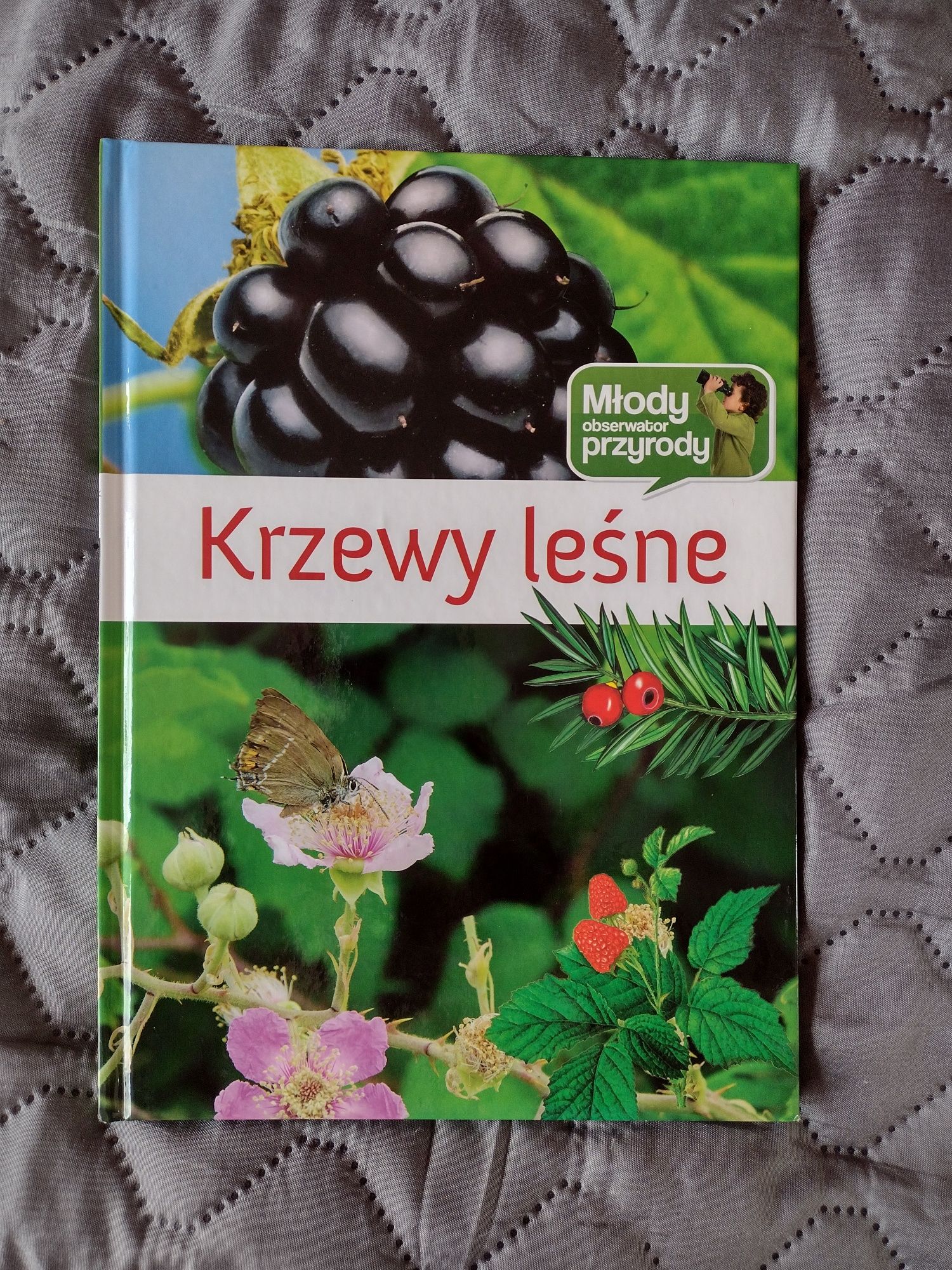 Młody obserwator przyrody -krzewy leśne