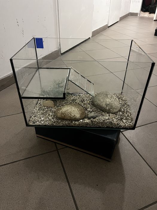 Akwarium Dla Żółwia