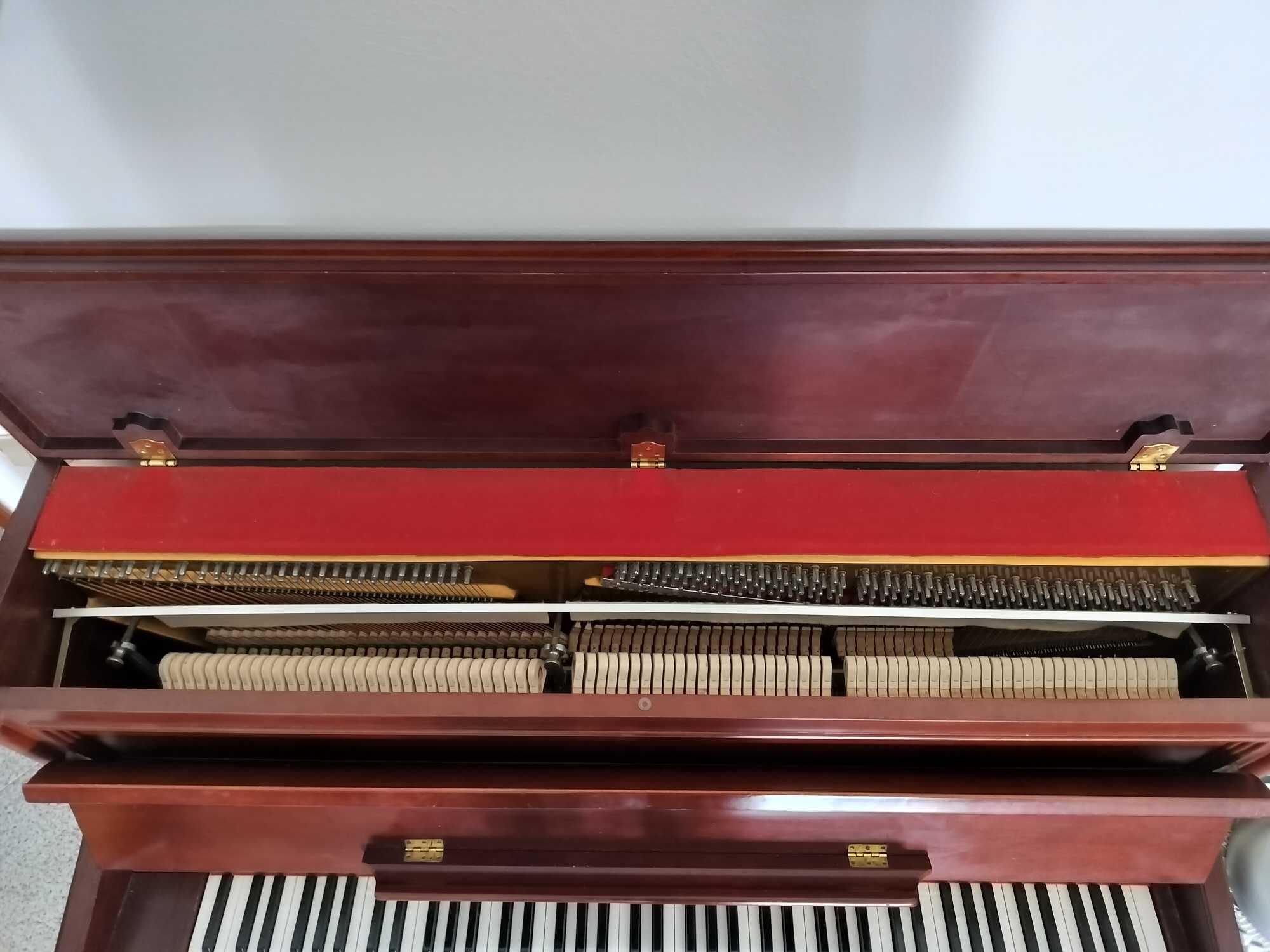 Piano Vertical Rippen