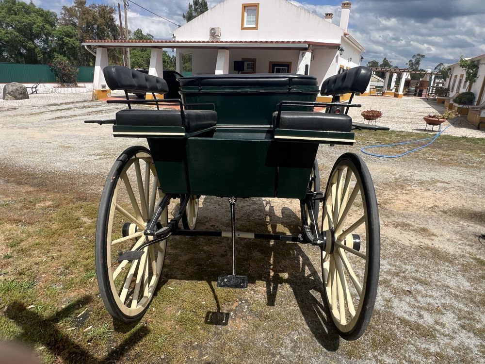 Charrete para venda